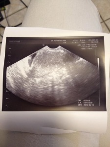 10751962_644156965703403_1979885207_n