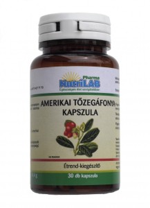 Amerikai_t__zeg__52a07d213929d